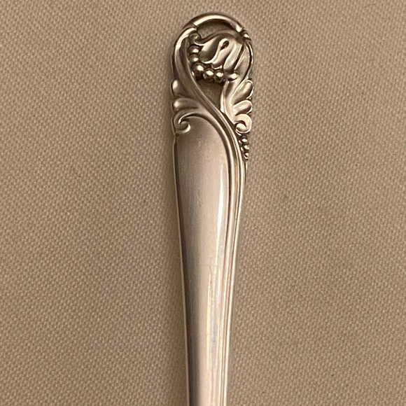 SPRING GLORY By INTERNATIONAL Sterling Nut Bon Bon Spoon 4.7" NO MONO - Picture 3 of 4
